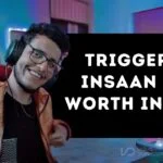 Triggered insaan net worth in 2024