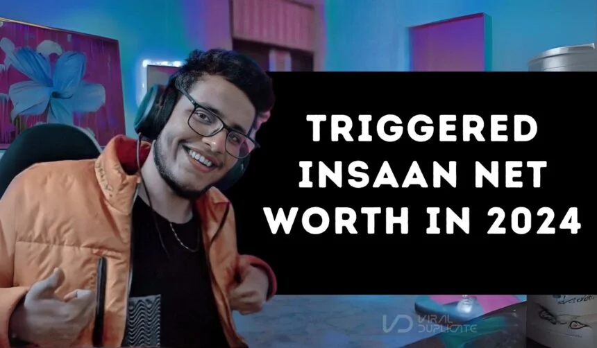 Triggered insaan net worth in 2024