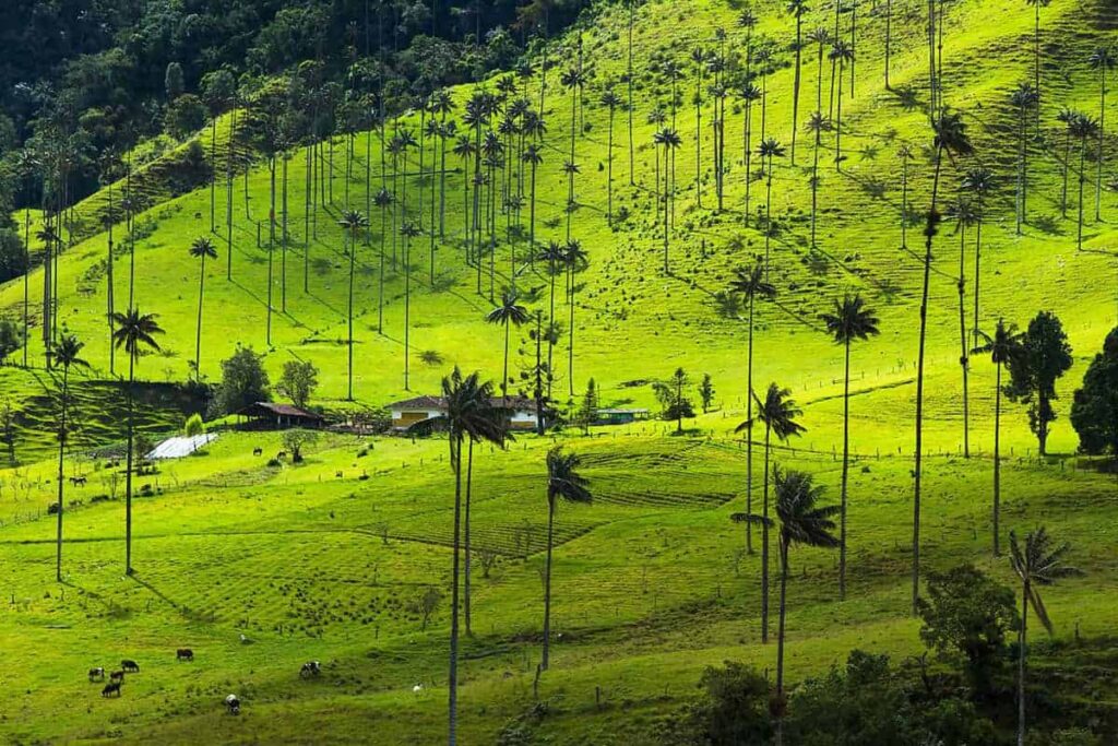 Salento Colombia