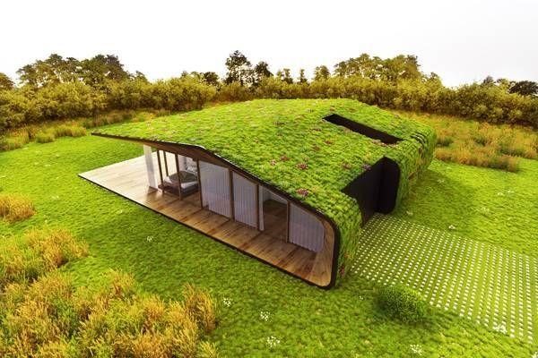 Eco Friendly Homes11