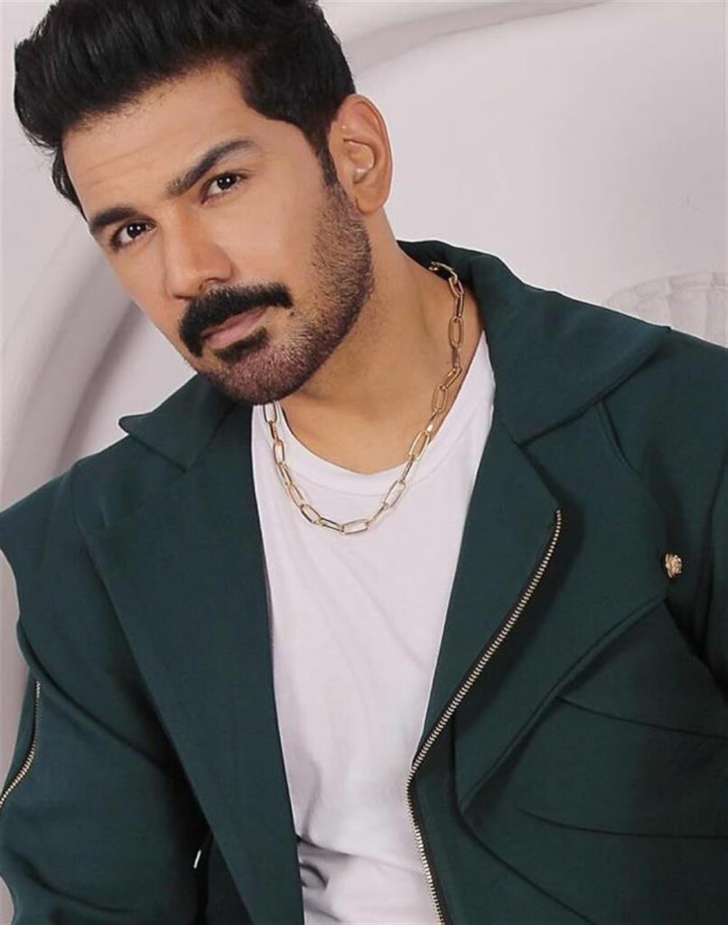 Abhinav Shukla Net Worth 2024 Earnings Career