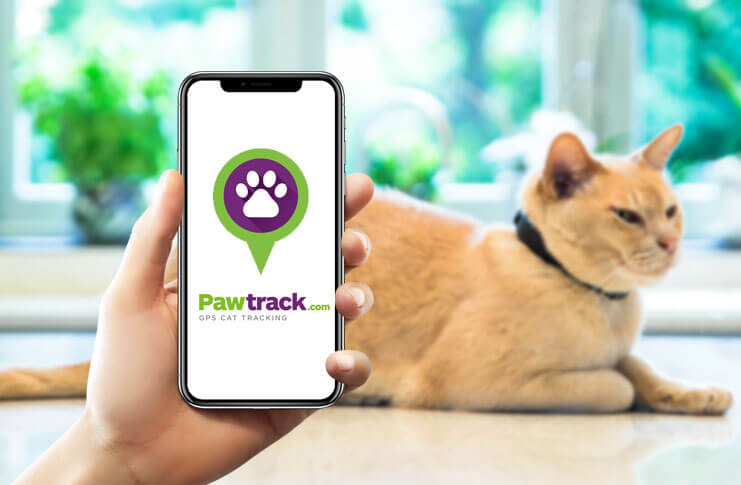 pawtrack listing